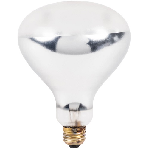 Lavex Janitorial 250 Watt Infrared Lamp Bulb – Discount Restaurant Supplies & Equipment,